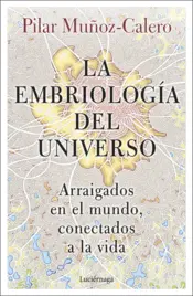 Portada The Embriology of the Universe