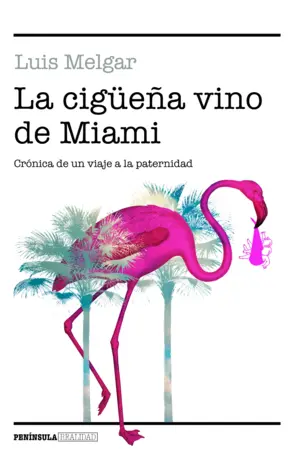 Portada The Stork Came from Miami